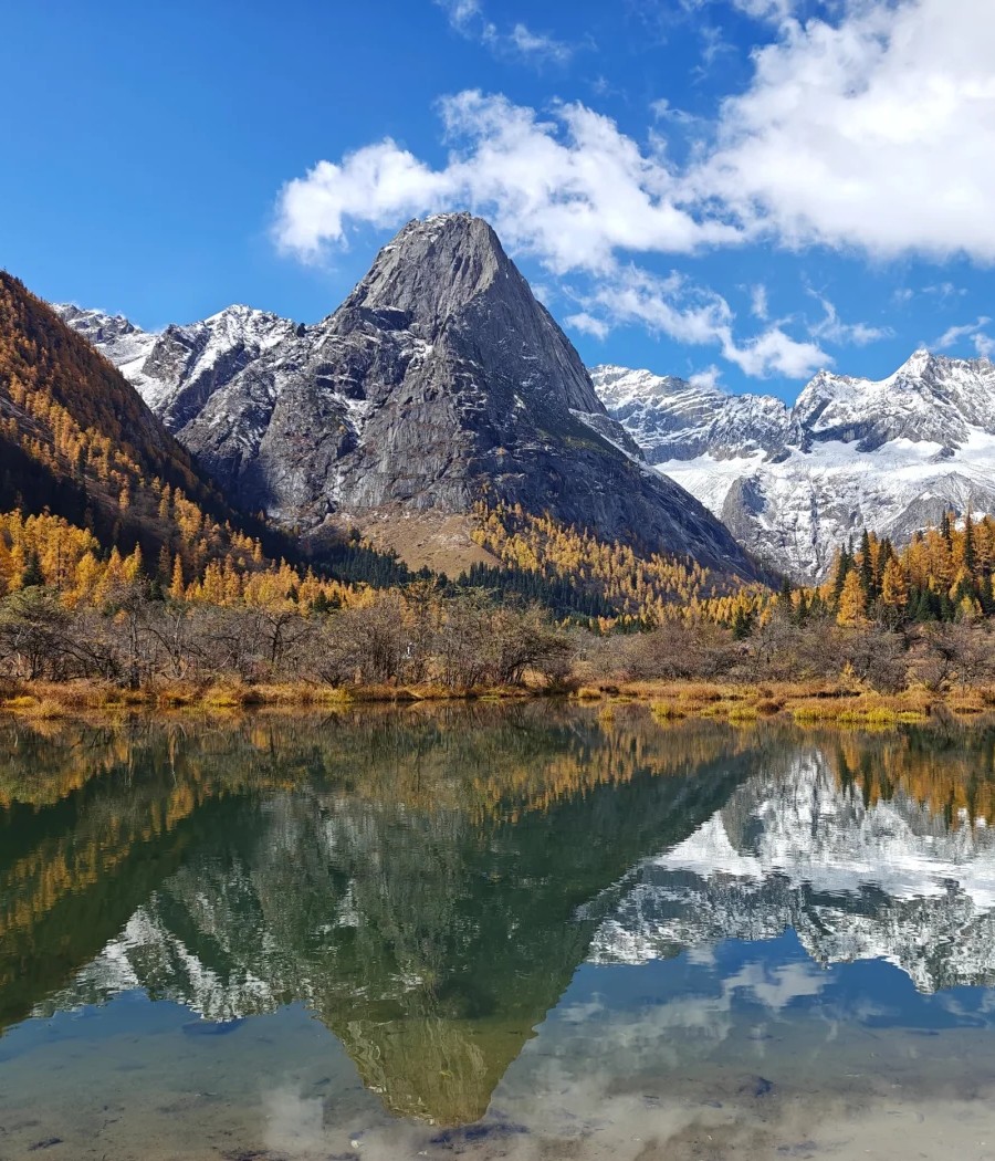 Snow-covered peaks and golden autumn forest reflected in a lake in Shuangqiao Valley, Mount Siguniang