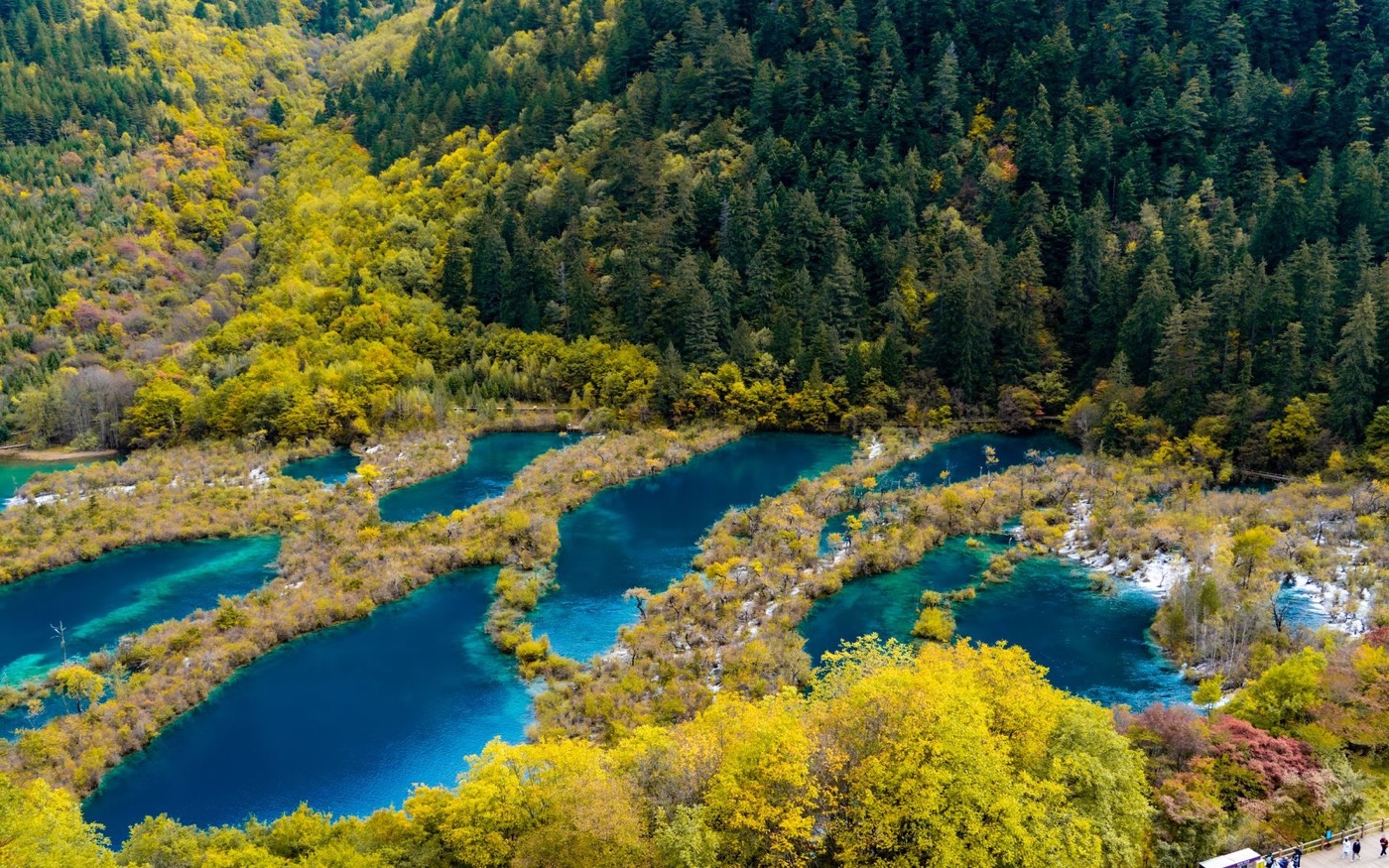 Aerial view of vivid turquoise lakes winding through autumn forest in Jiuzhaigou Valley, northern Sichuan