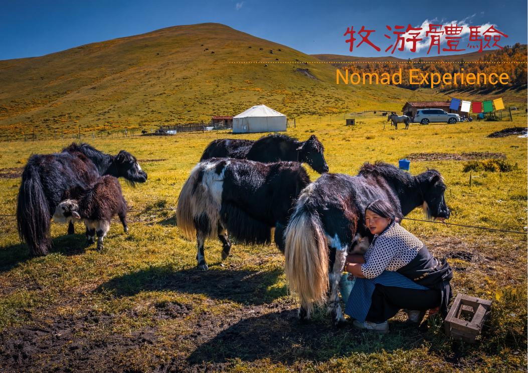 A local family and livestock on the highland grassland