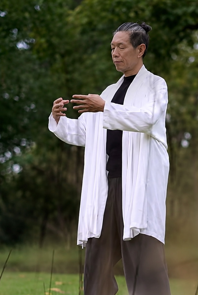 Forested surroundings at Mount Qingcheng for standing practice